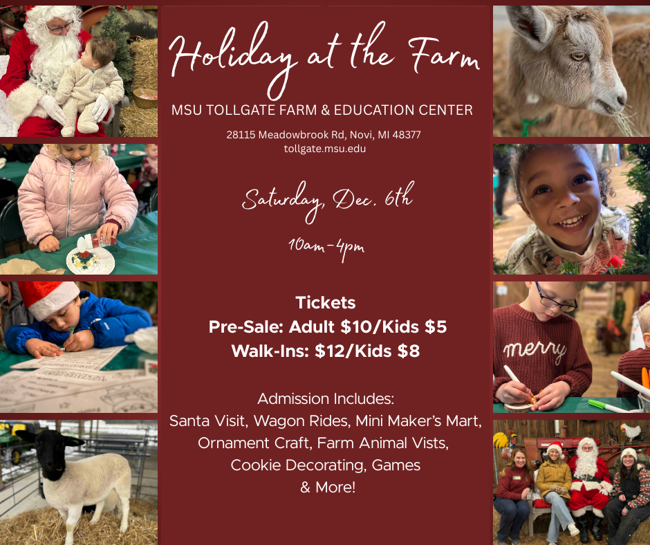 HOLIDAY AT THE FARM- Socials.png